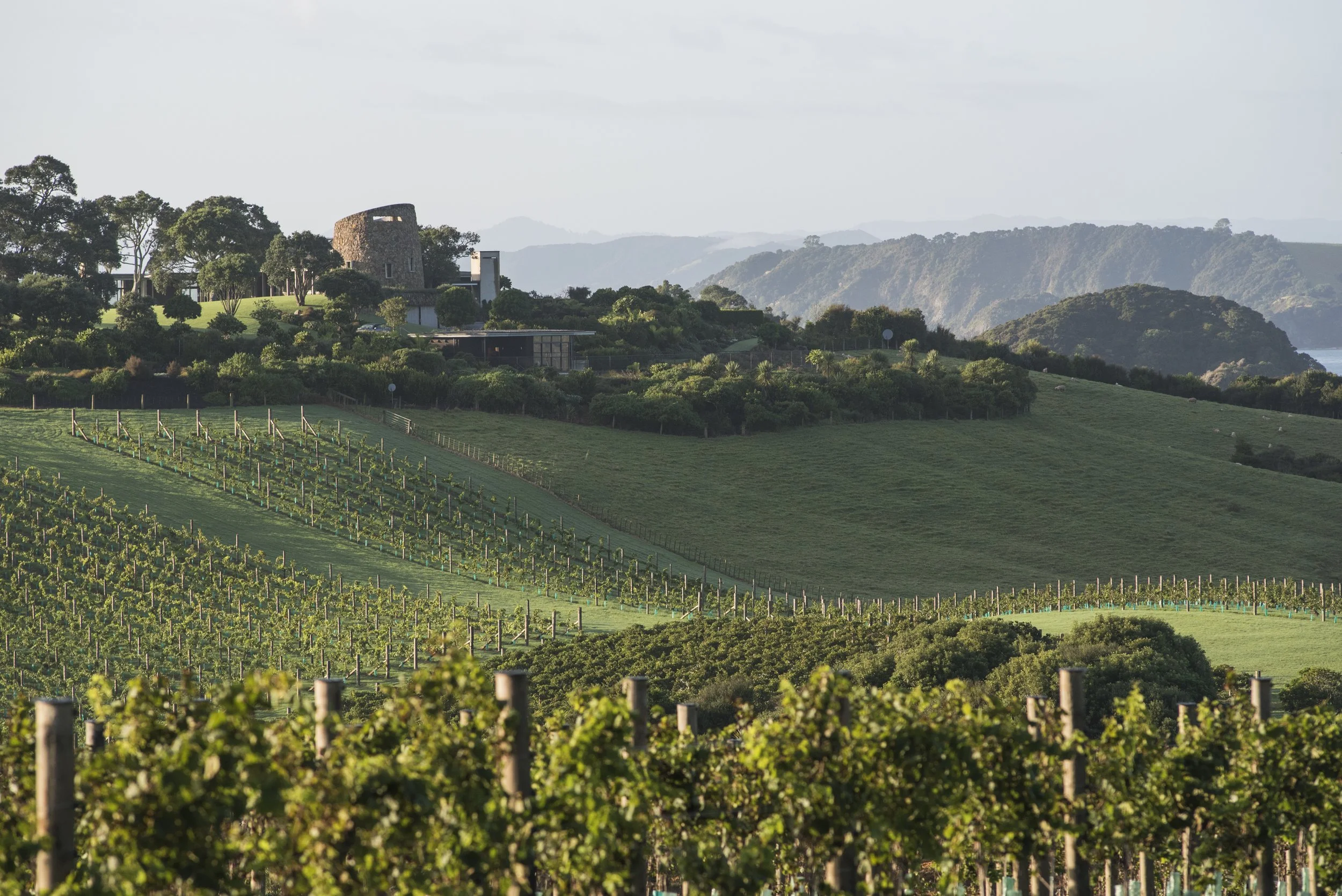 The%20Landing%20Vineyard%20with%20Cooper%20Residence.jpg
