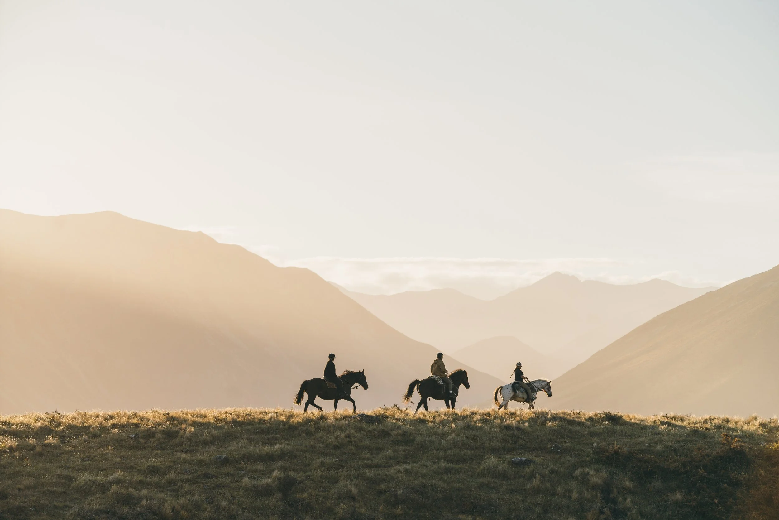 Four people riding horses across a grassy plain with mountains in the background, during sunset or sunrise.