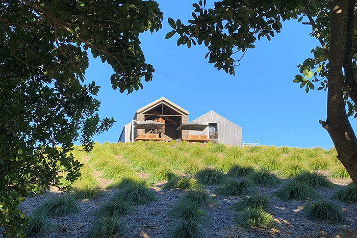 A modern house on a grassy hillside viewed from below, framed by trees and blue sky.