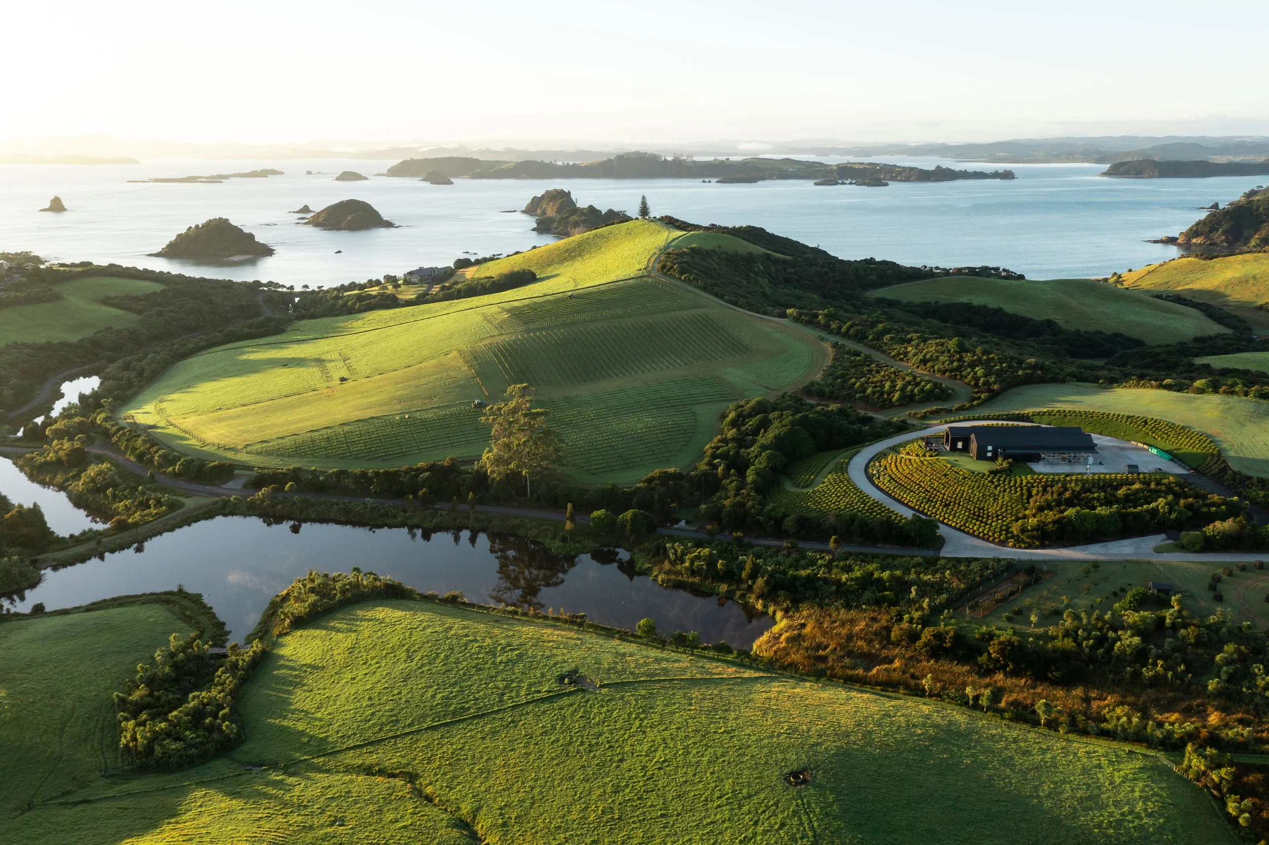 Aerial view of lush green hills and farmland near a large body of water with small islands in the background, illuminated by golden sunlight.