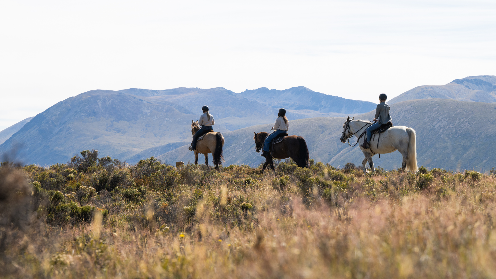 Three people riding horses across a grassy landscape with mountains in the background.