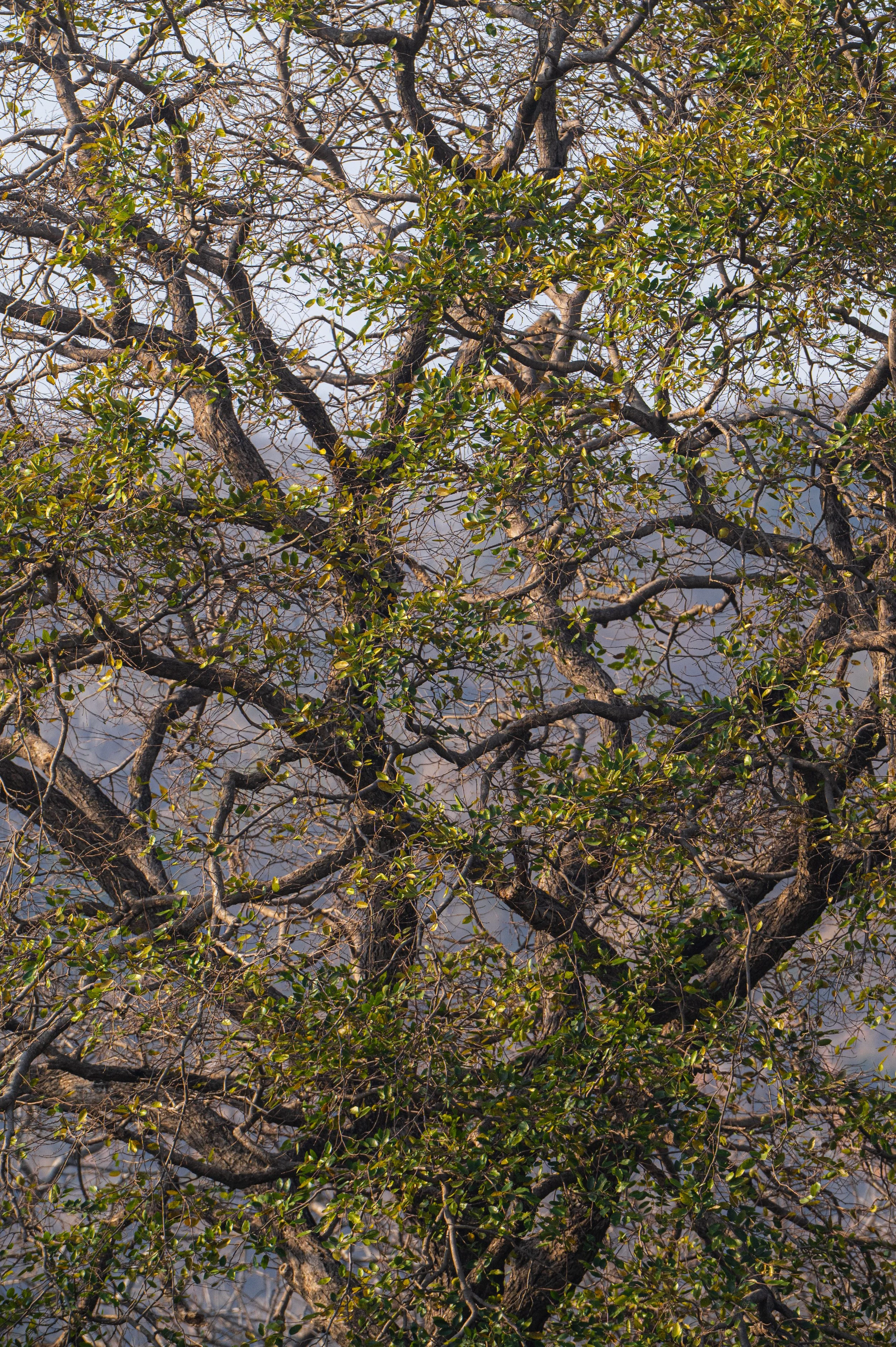_DSC3543-1.jpeg