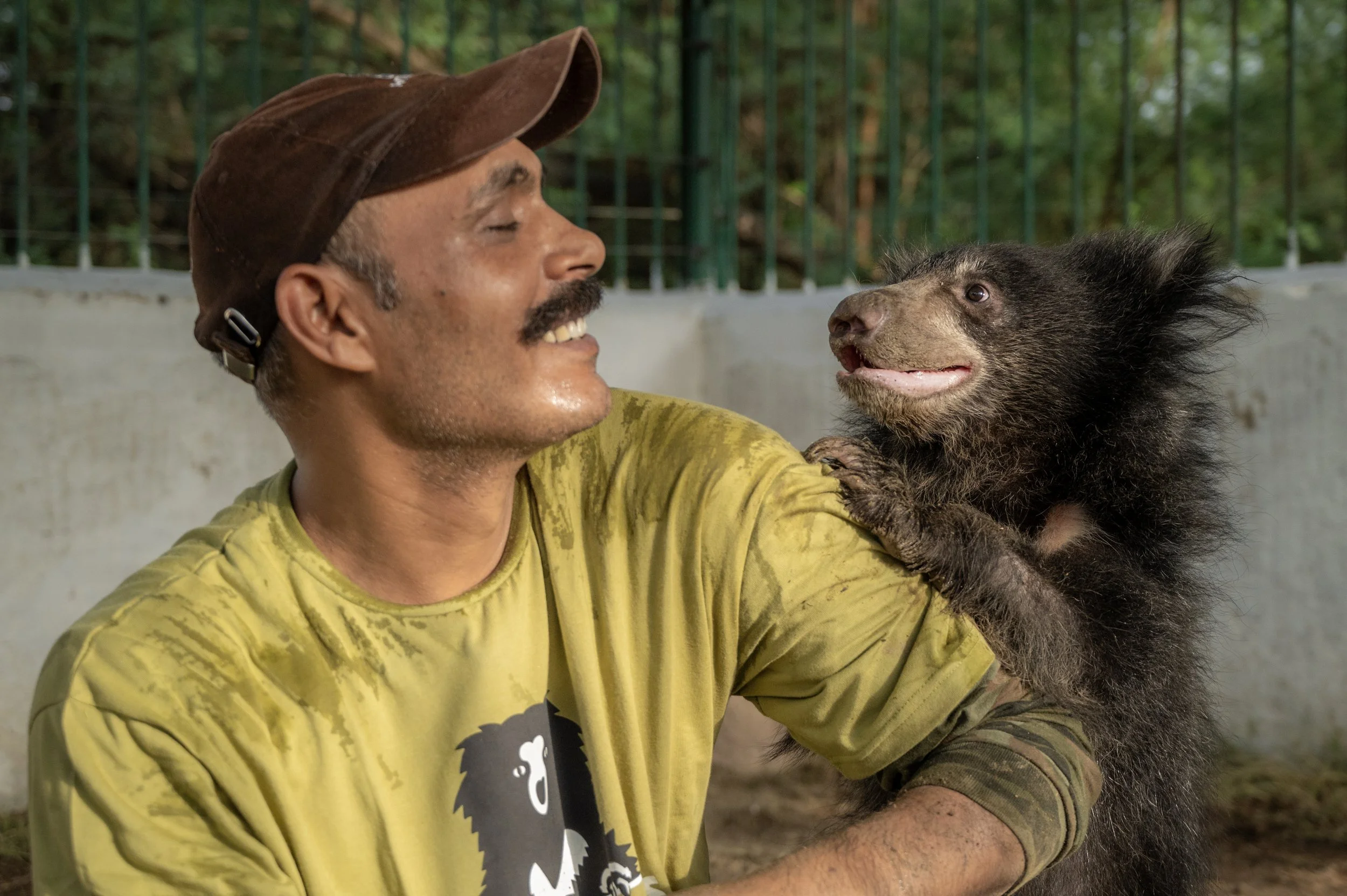 250523_ATHARVA PACHARNE_ABRF EXTENSION_SLOTH BEAR CUB_53.jpg