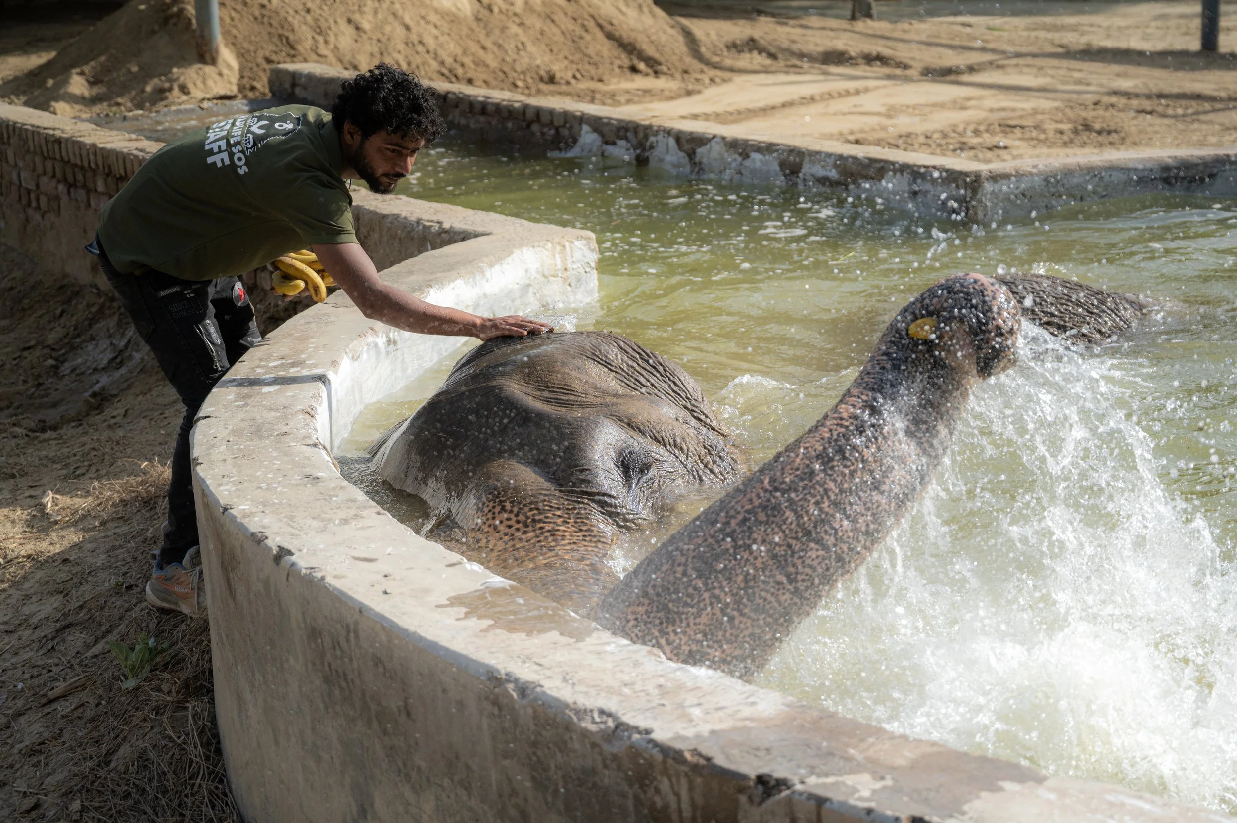 260329_ECCC_ATHARV PACHARNE_ELEPHANT_SURAJ_POOL_4.jpg