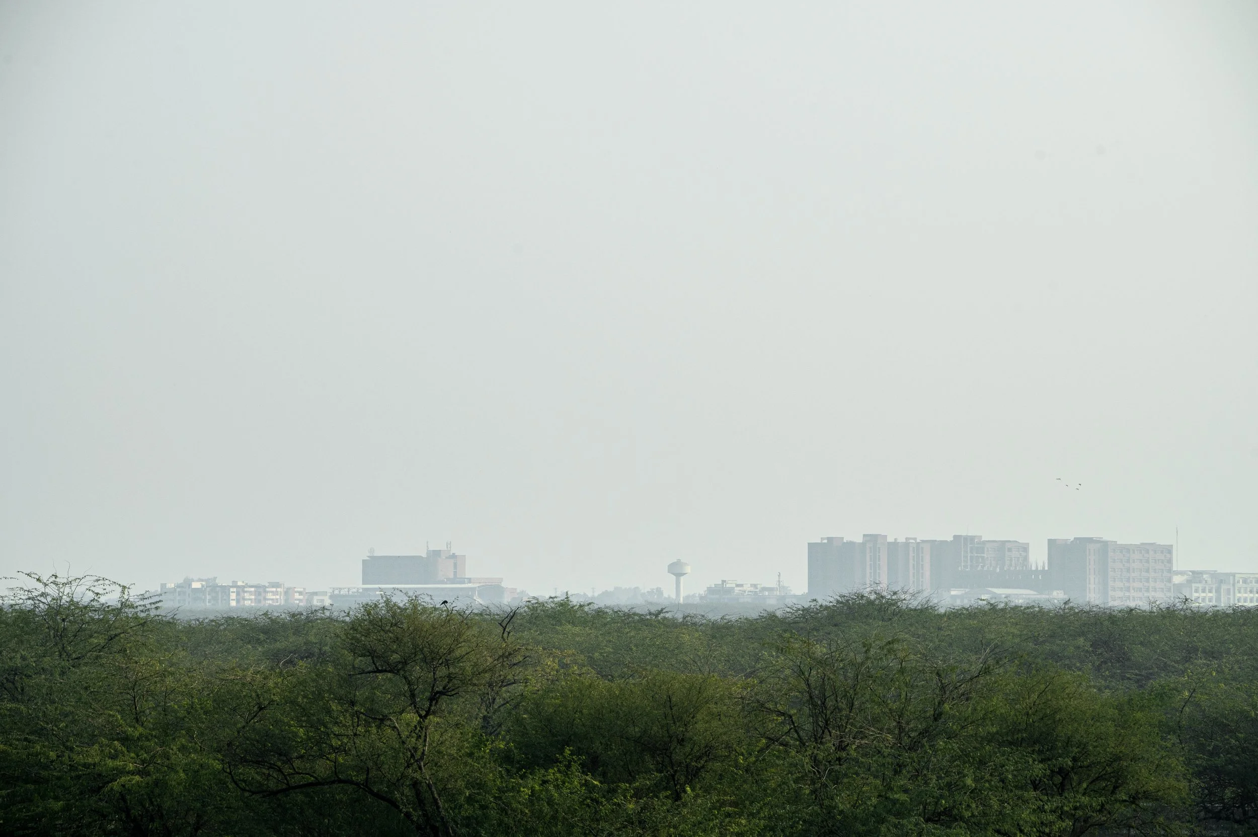 Atharv Pacharne_32.jpg