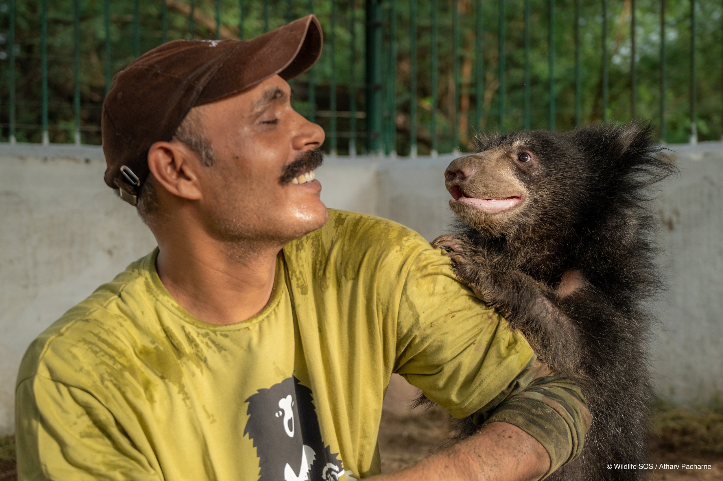 250523_ATHARVA PACHARNE_ABRF EXTENSION_SLOTH BEAR CUB_53.jpg