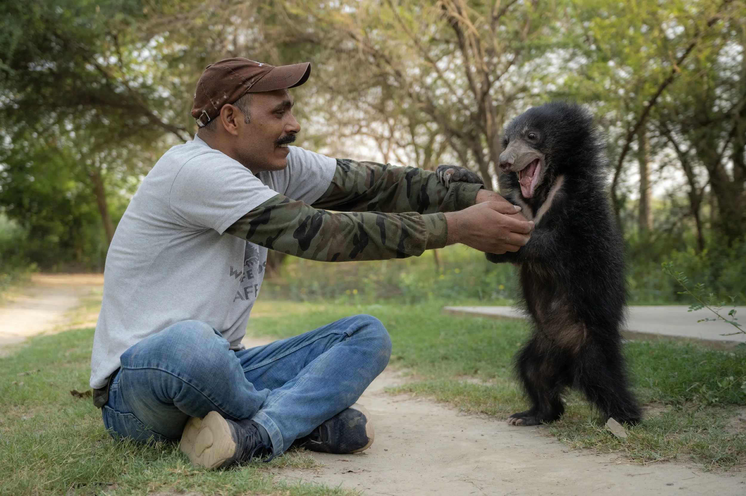 250523_ATHARVA PACHARNE_ABRF EXTENSION_SLOTH BEAR CUB_27.jpg