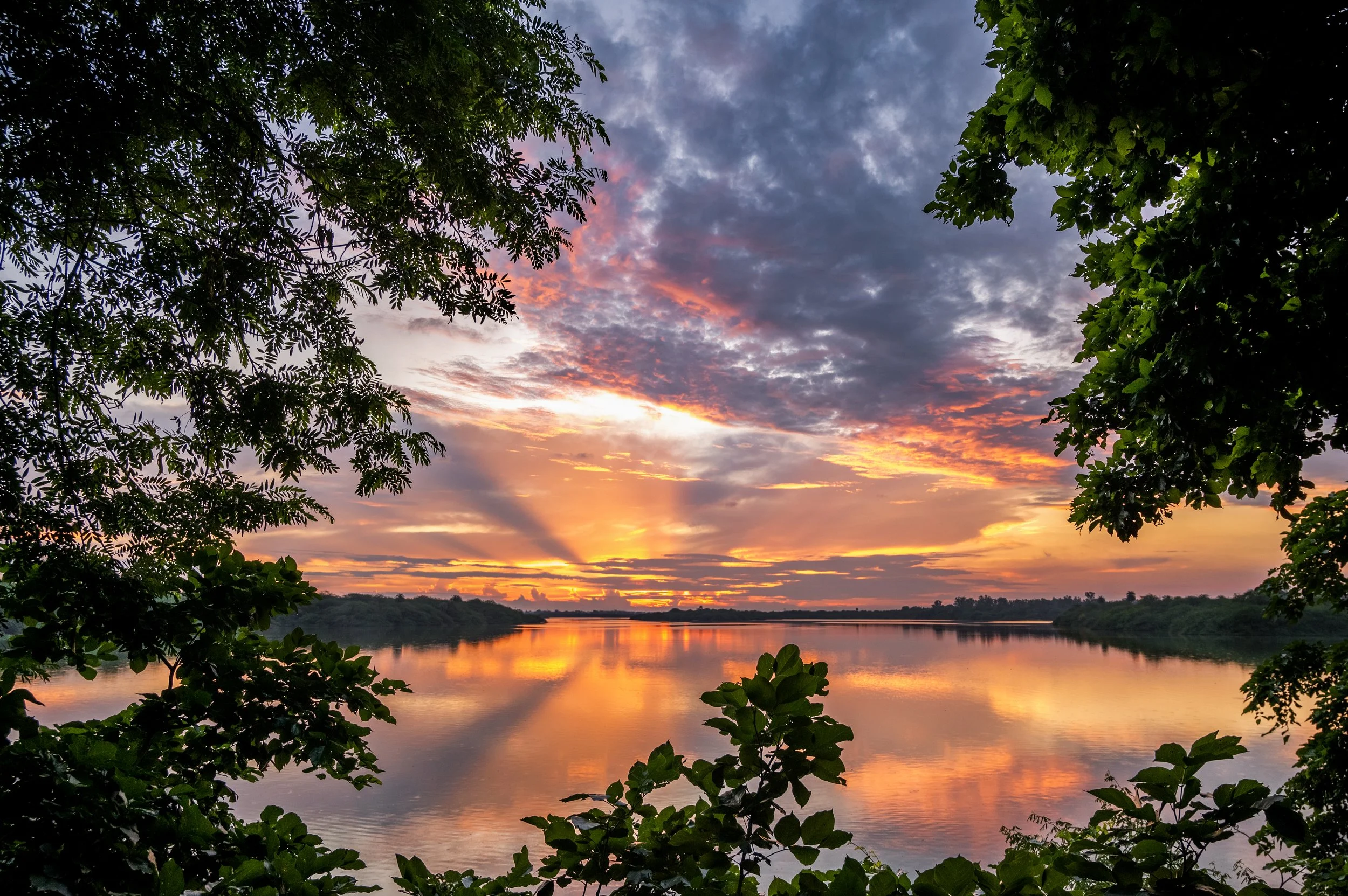 Atharv Anil Pacharne Landscape 1.jpg
