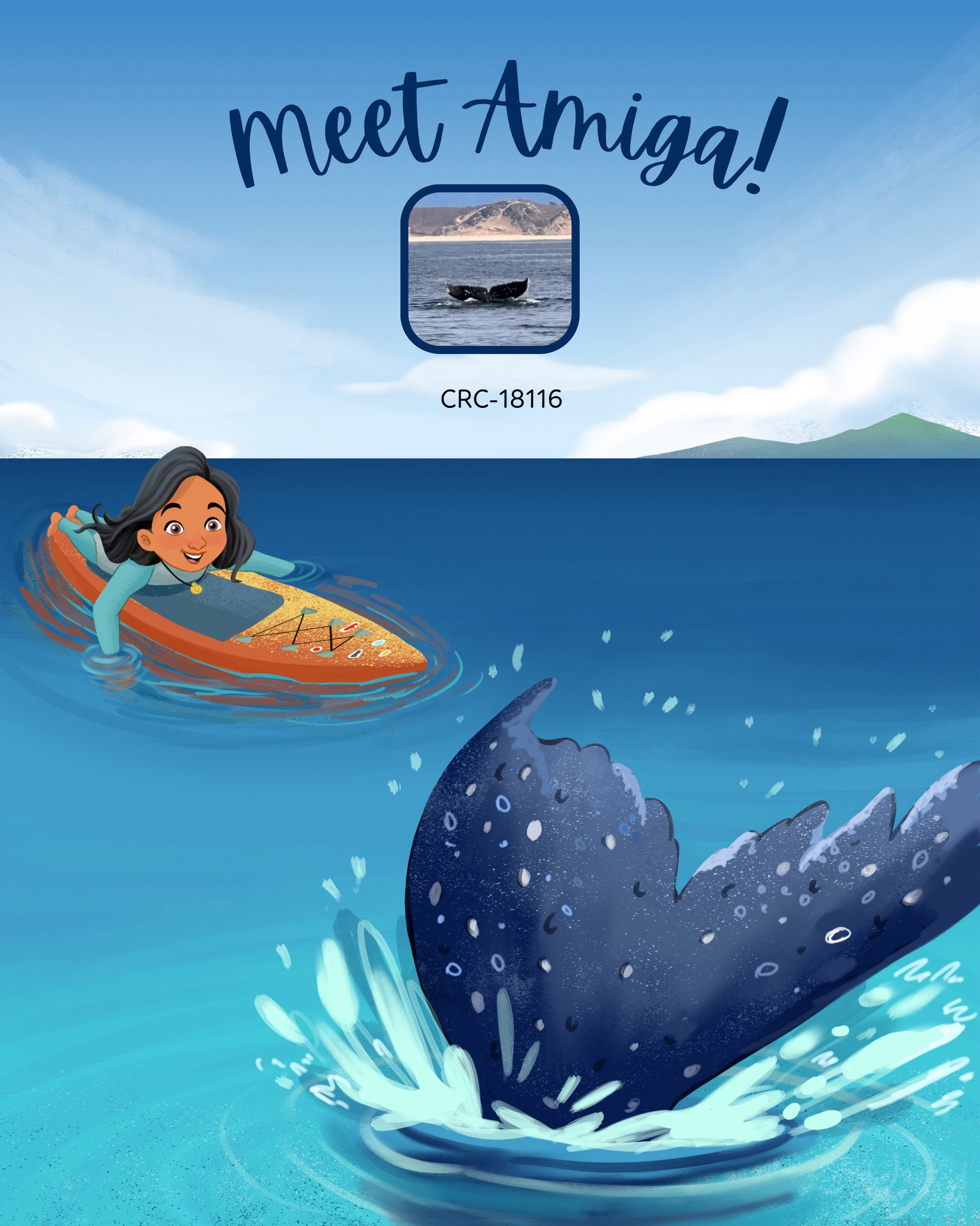 Introducing Amiga, a REAL humpback who swims through Monterey Bay!

Every humpback has a different pattern on the underside of its tail, just like a fingerprint. No two flukes are the same! Thanks to a citizen science site called @happywhale_official