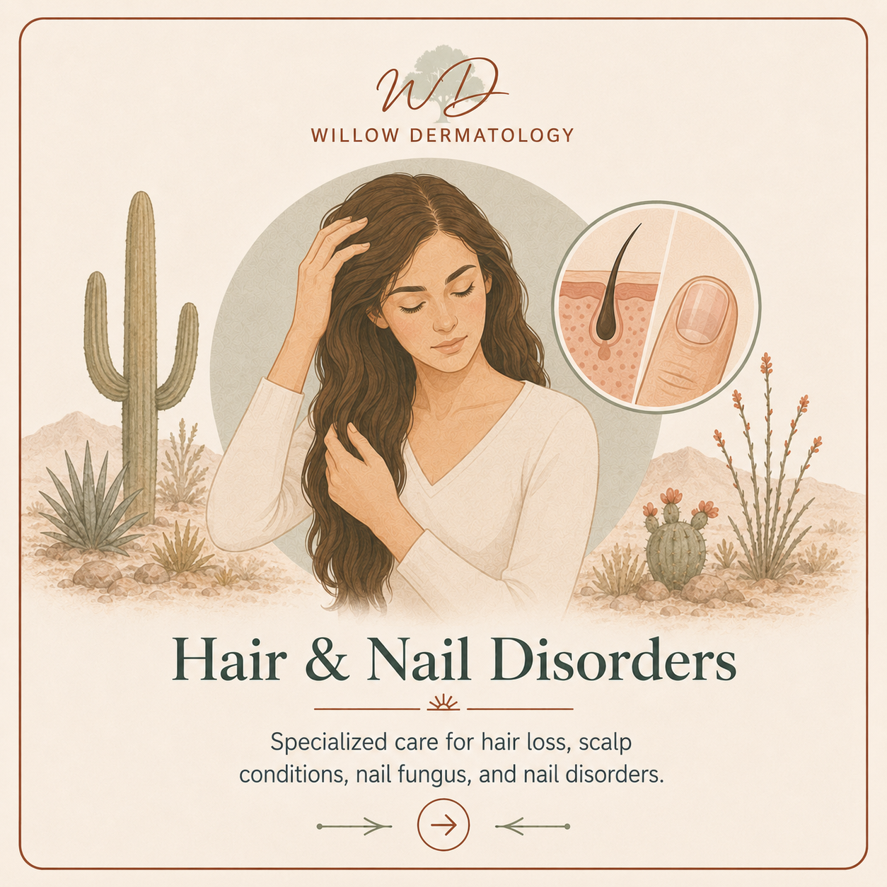 Illustration of a woman with long, wavy hair, touching her scalp, with desert plants and mountains in the background. An inset shows a close-up of hair and nail health. The text promotes Willow Dermatology specializing in hair and nail disorders.