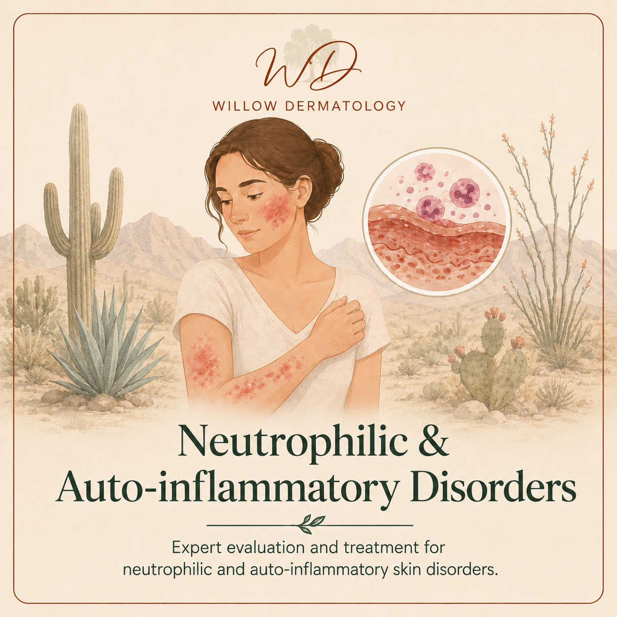 An illustration of a woman with skin rashes on her arm and face, standing in a desert landscape with cacti and mountains in the background. An inset shows a microscopic view of skin cells and immune cells. The image promotes Willow Dermatology's evaluation and treatment for neutrophilic and auto-inflammatory skin disorders.