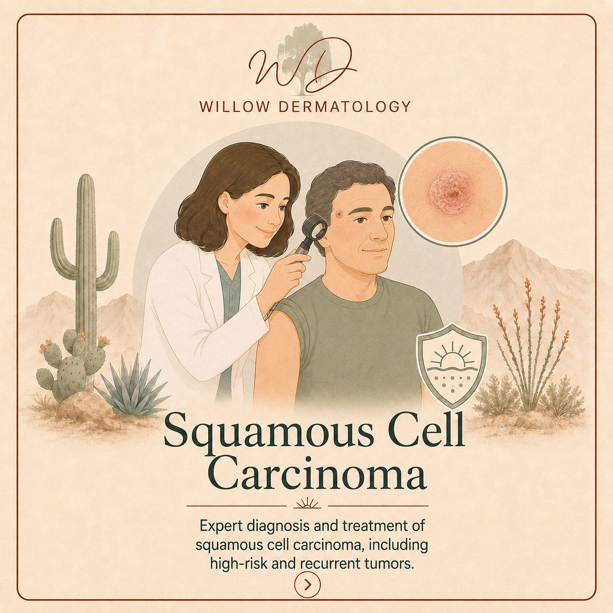 Illustration of a healthcare professional examining a man with a dermatoscope, includes an inset of a squamous cell carcinoma mole, desert plants, mountains, and the text about squamous cell carcinoma treatment and diagnosis at Willow Dermatology.