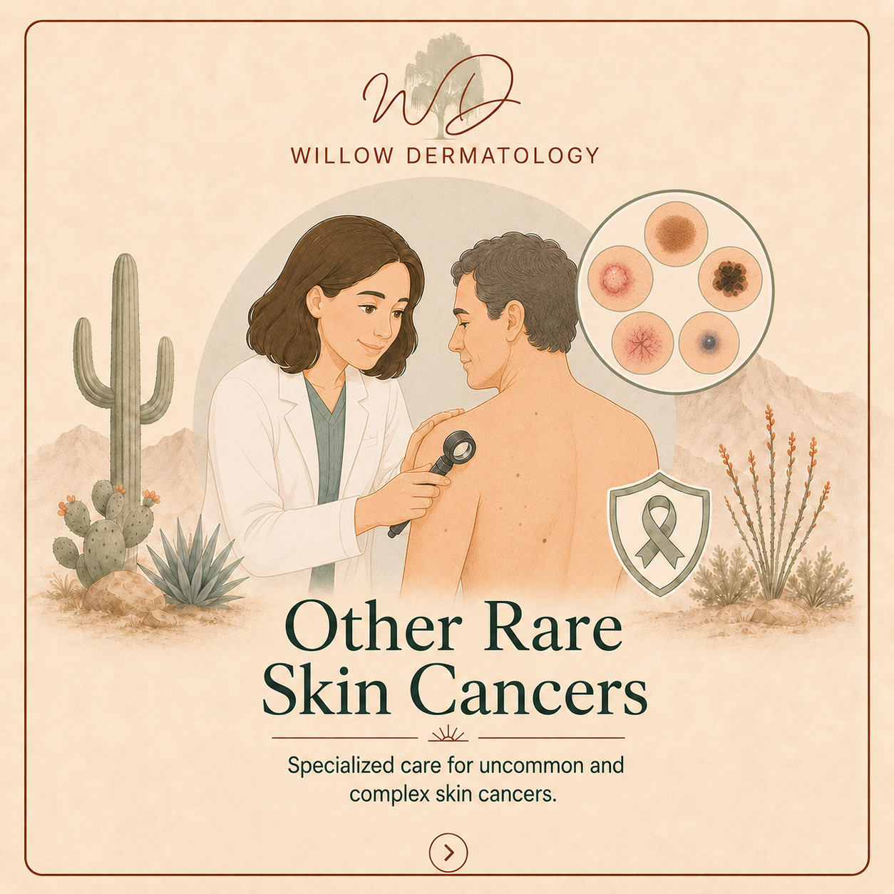 Illustration of a dermatologist examining a man's shoulder with a skin scope. The background features desert plants, mountains, and a diagram of five rare skin cancer types. Text reads 'Other Rare Skin Cancers' with a subtitle 'Specialized care for uncommon and complex skin cancers' and a Willow Dermatology logo.