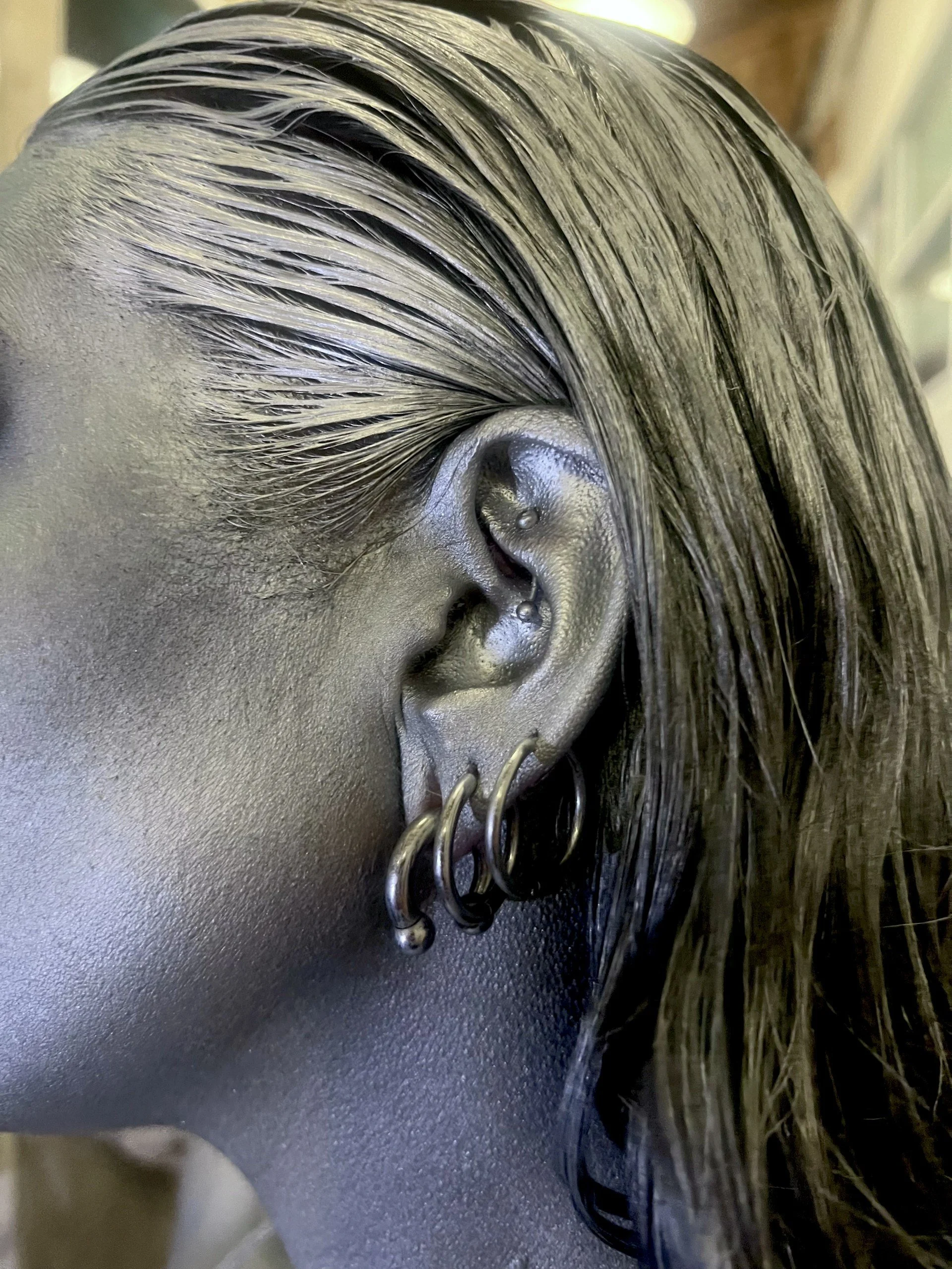 silver ear.jpg
