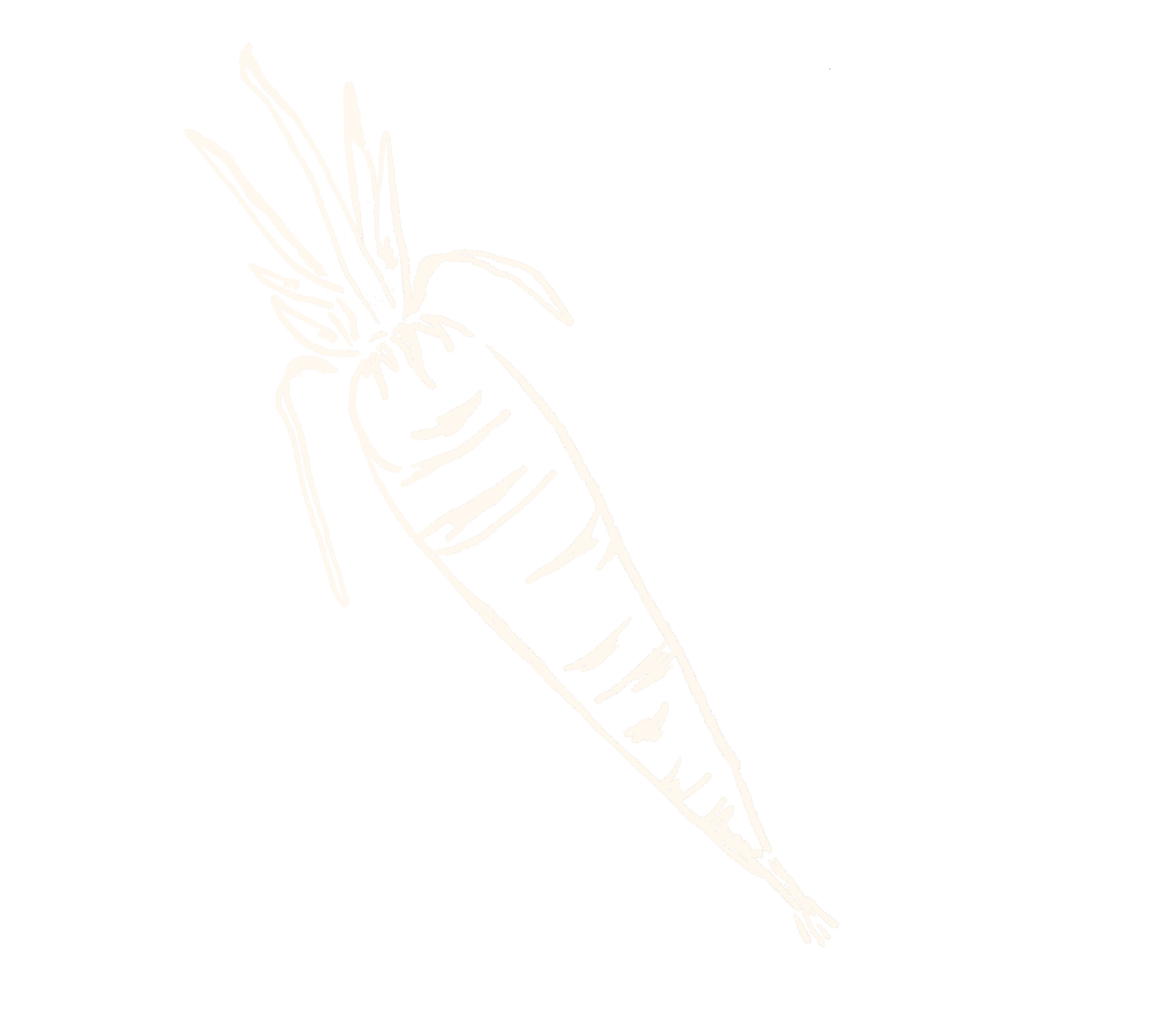 Illustration of a carrot.