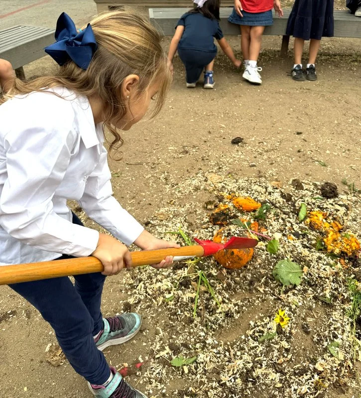 Trash to Treasure: How Your Garden Loves Kitchen Scraps