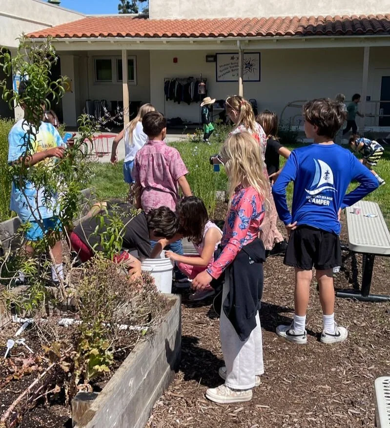 Sprouting Change: How California is Cultivating Environmental Literacy