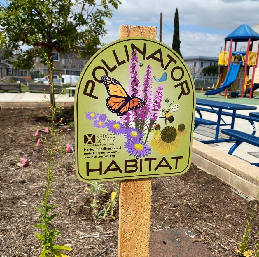 Help Our Pollinators Thrive with Habitat Kits!