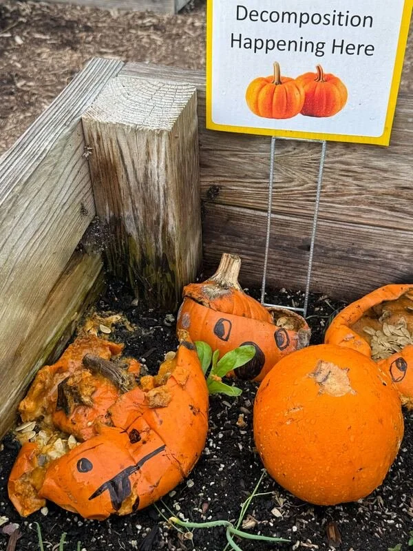 GE_Blog_Pumpkin.jpg