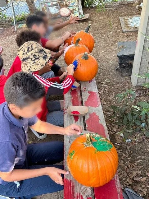 GE_Blog_Pumpkins & Squash-03.jpg