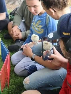 GE_Blog_Chick-Joy-01jpg.jpg