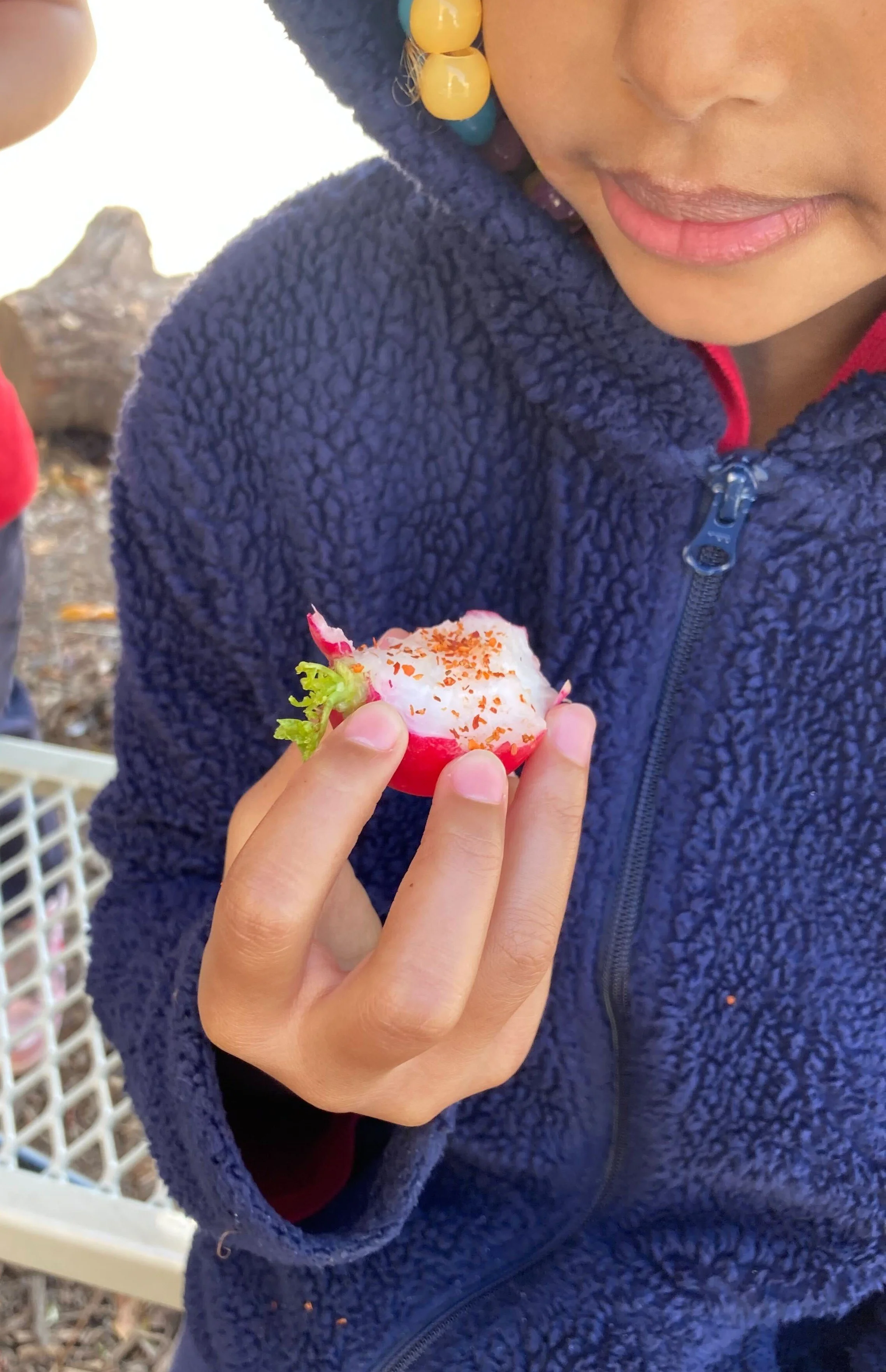Radish - Copy.jpg