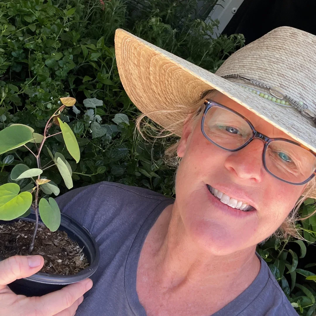 Ground Education's co-founder Karen Taylor holds a small plant - smiling at the camera.