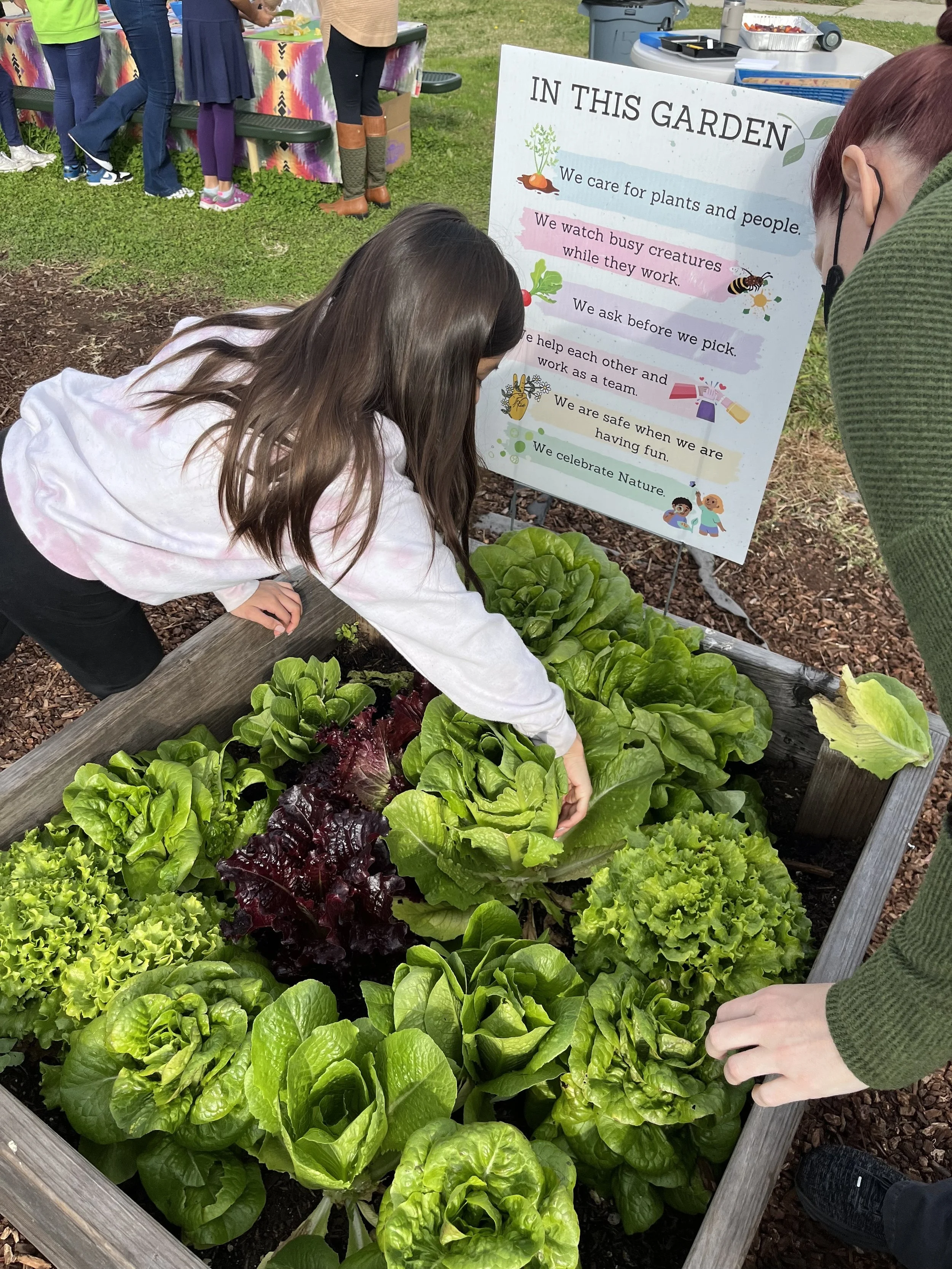 Children and adults at a community garden, with one girl tending to leafy greens, and a large informational sign listing garden rules and values.