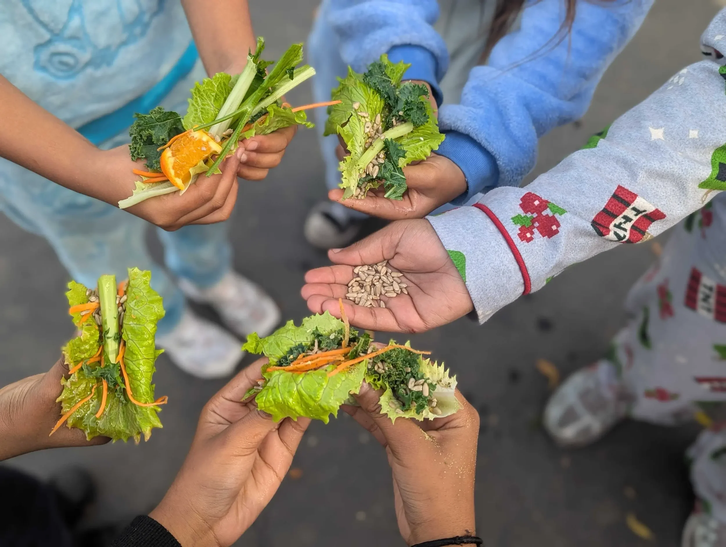 Kids hands holding lettuce wraps