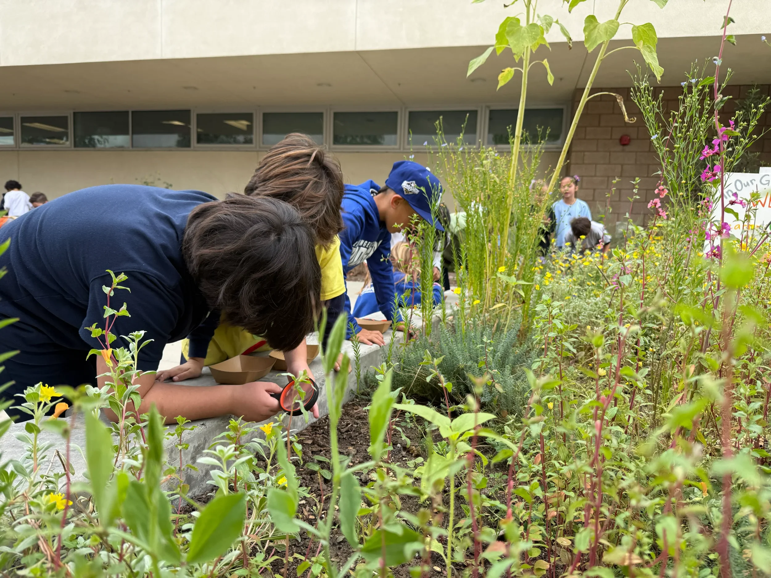 Kids use magnifying glasses to look for worms in the soil of a garden bed.