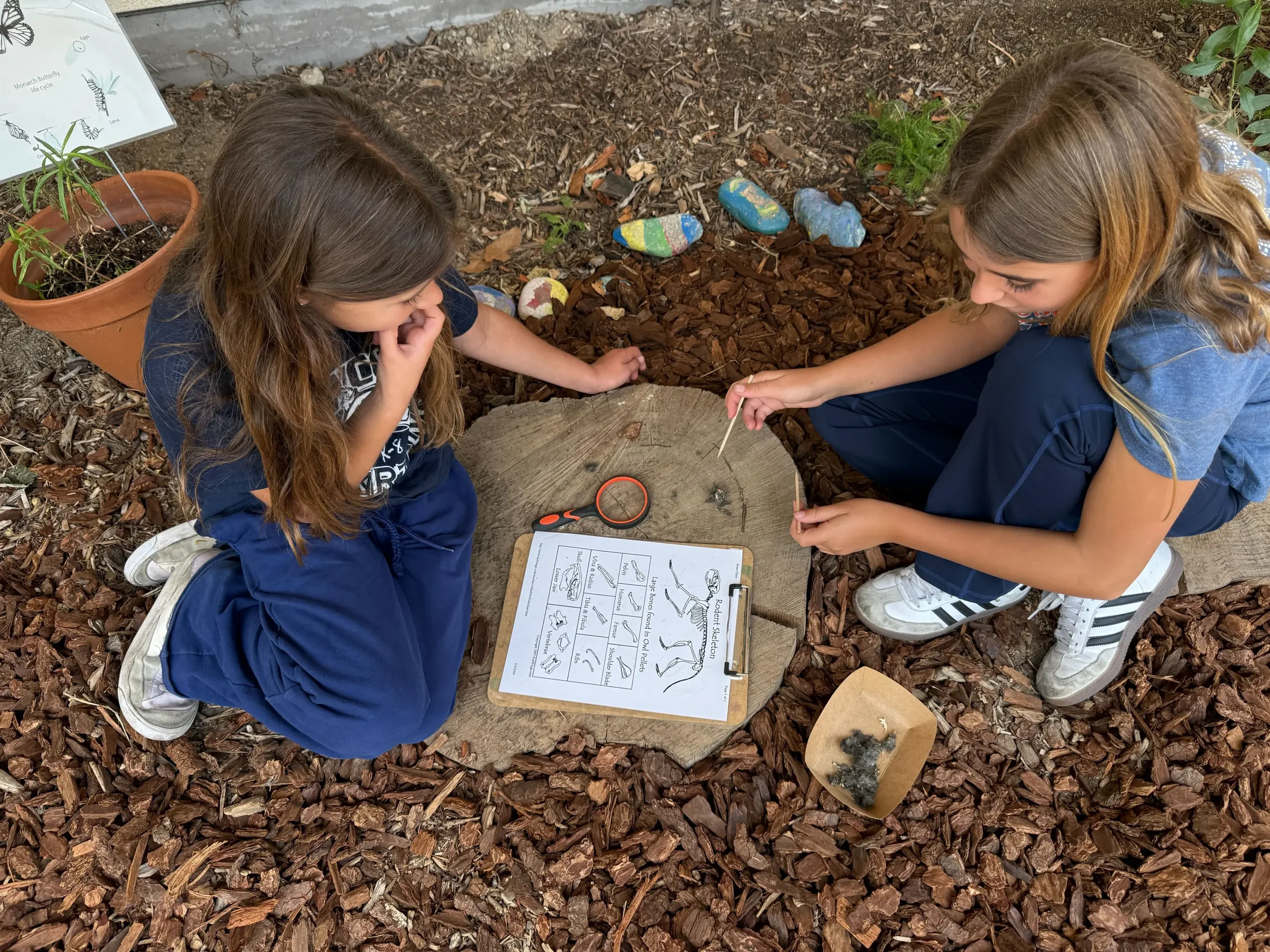 Two young girls sit on tree stump with a worksheet and magnifying glass.