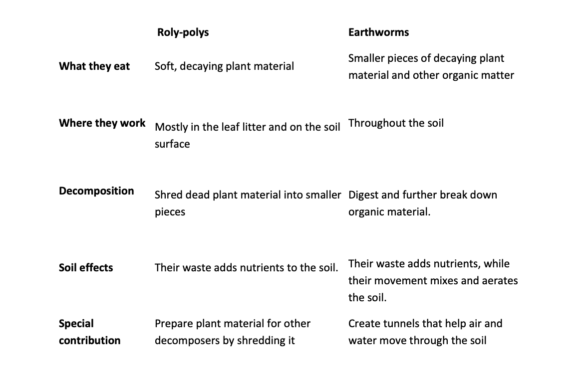 Roly-Poly and Earthworm category map.
