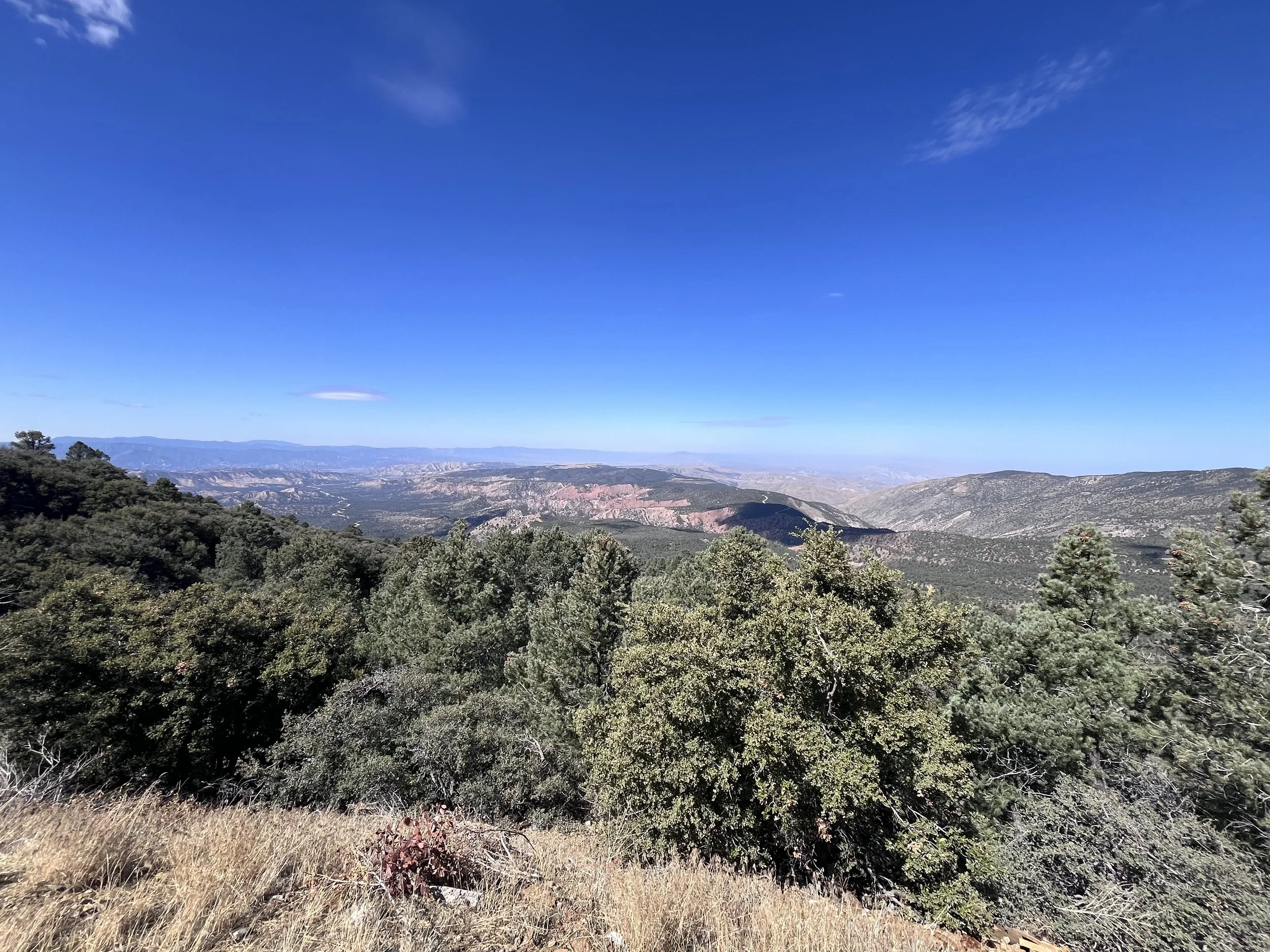 IMG_8618.jpeg