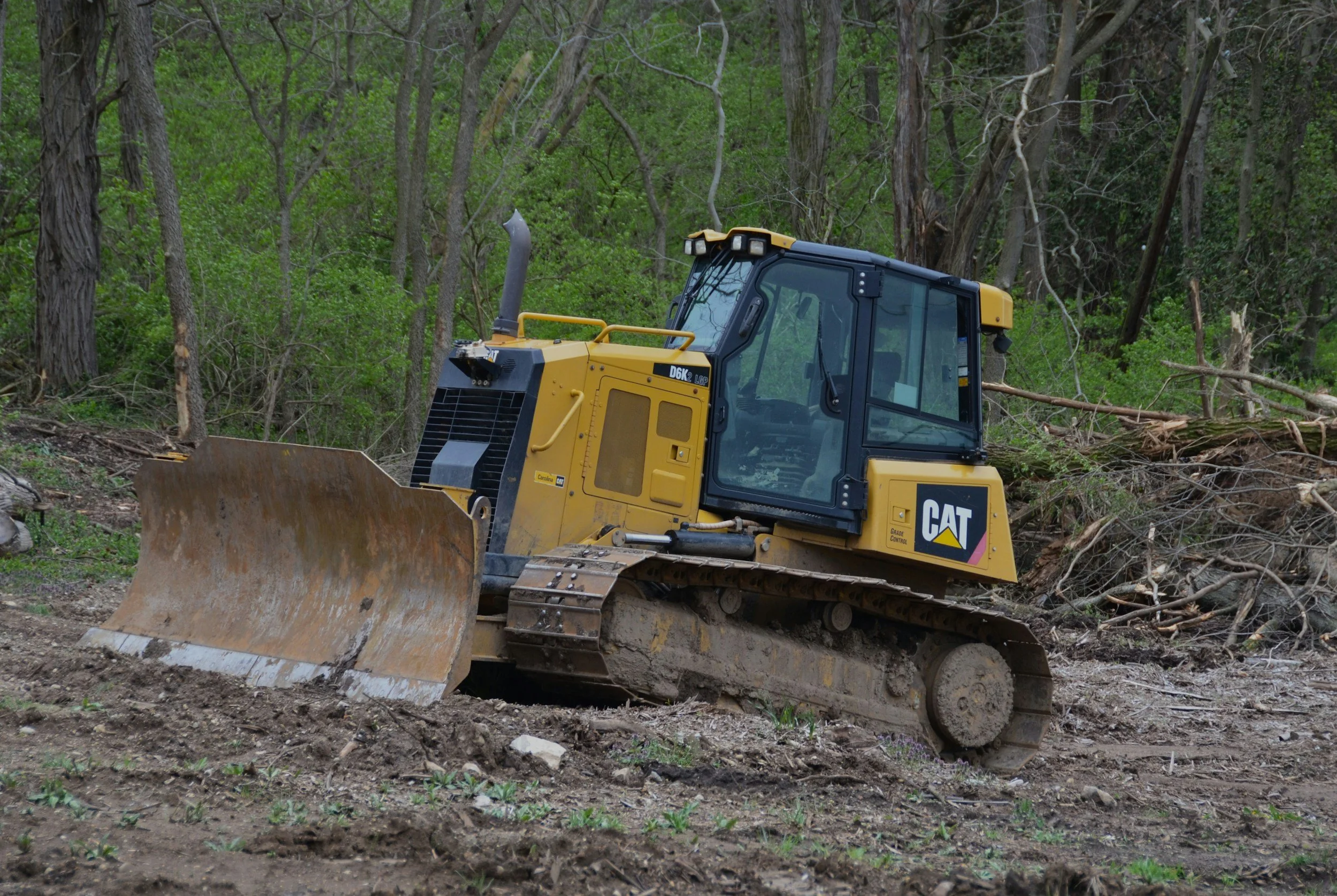 Professional bulldozer clearing trees.