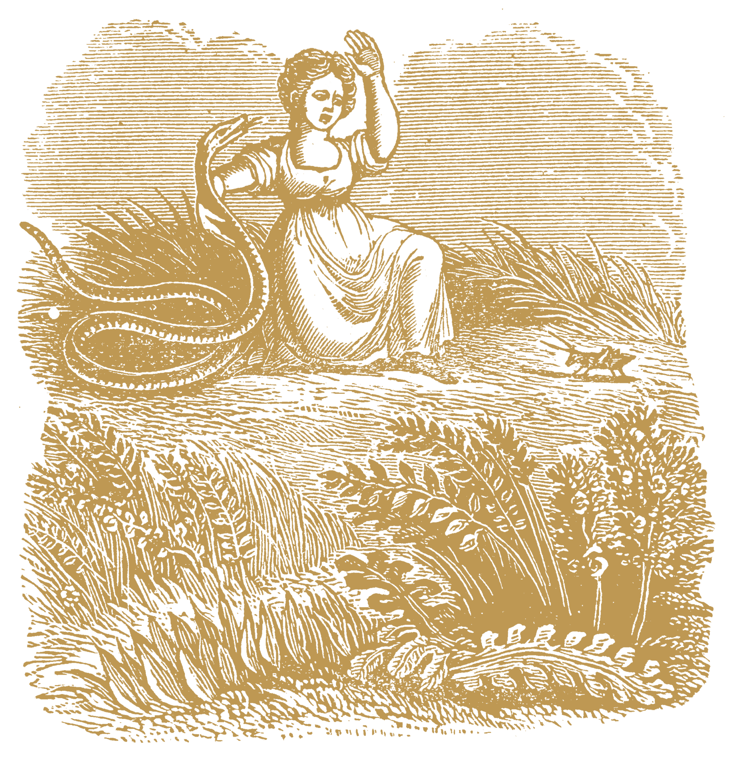 10-Simplicity.png