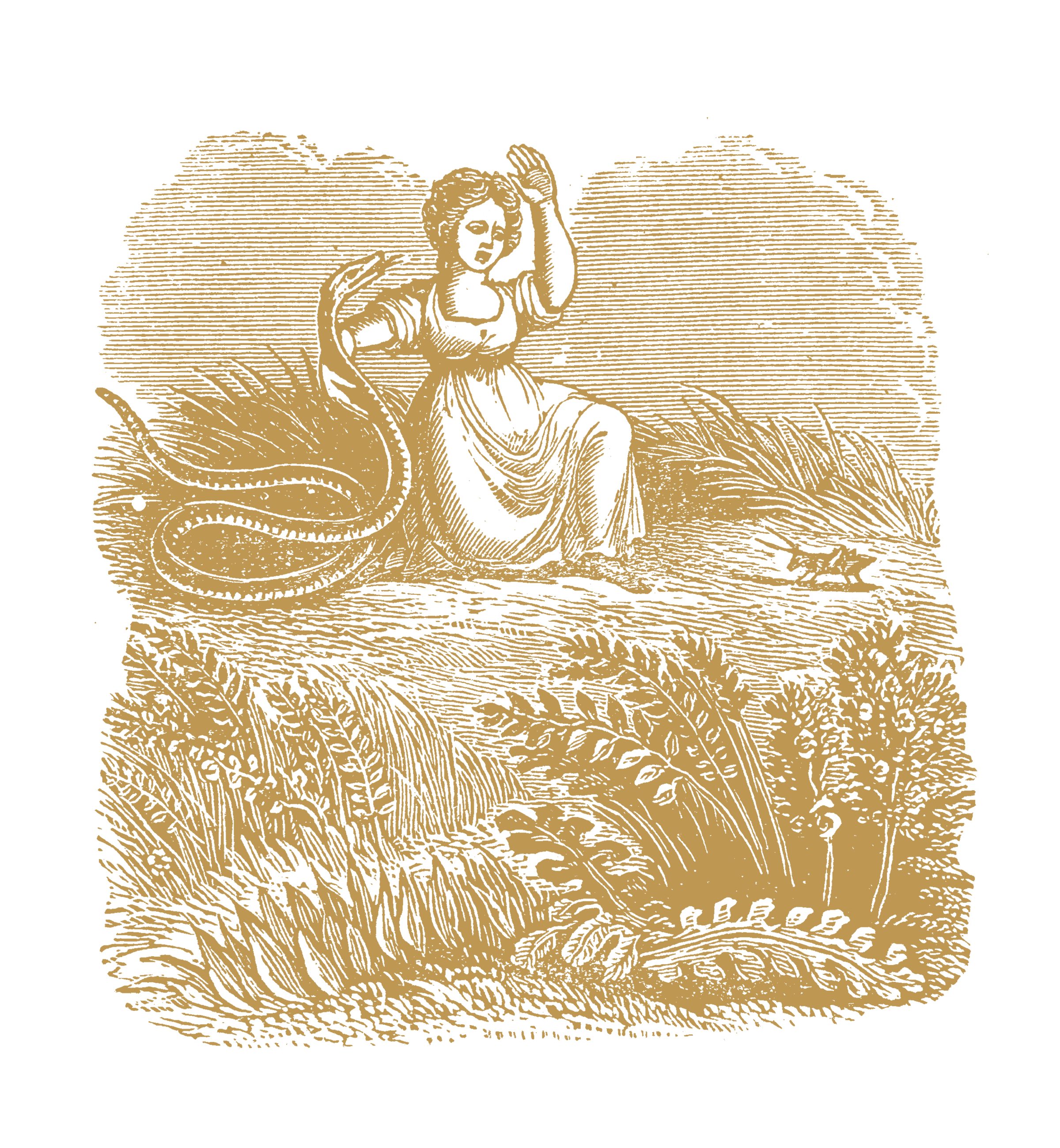 Simplicity, or Want of Understanding