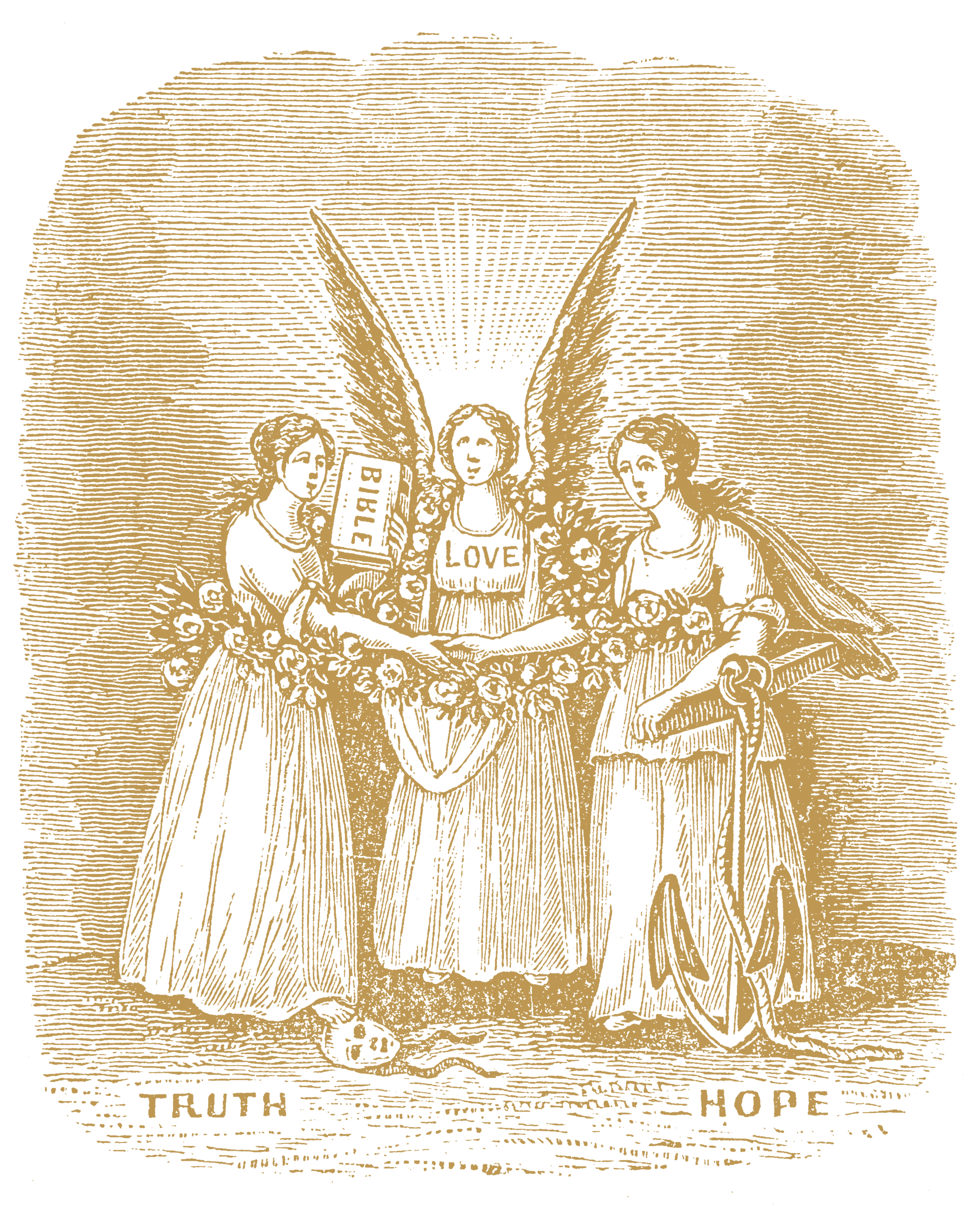 03.png