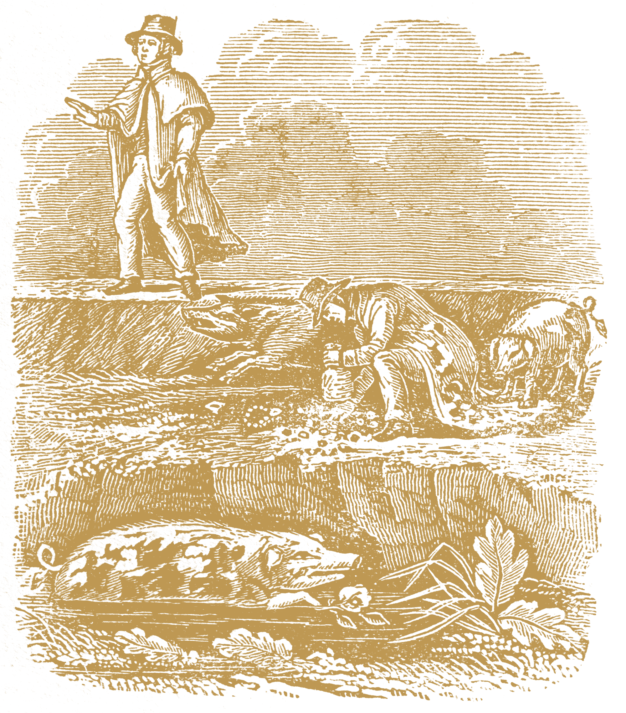 04.png