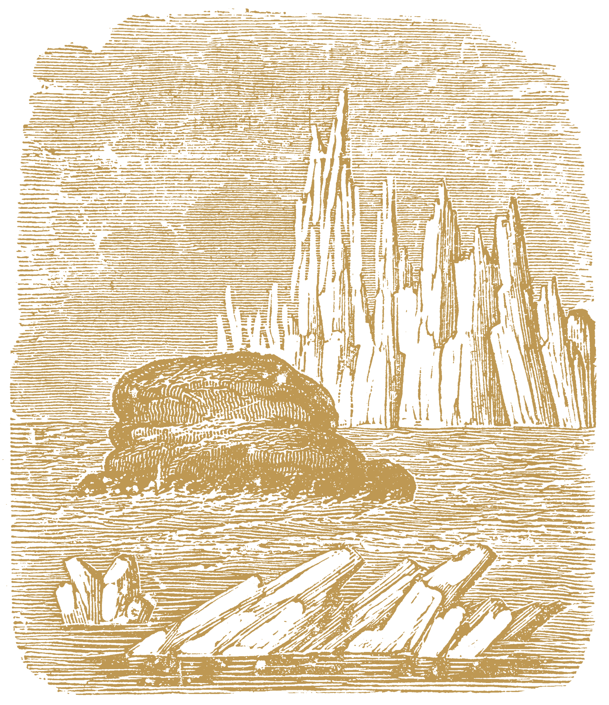 01-TruthandPrinciples_SMALL.png