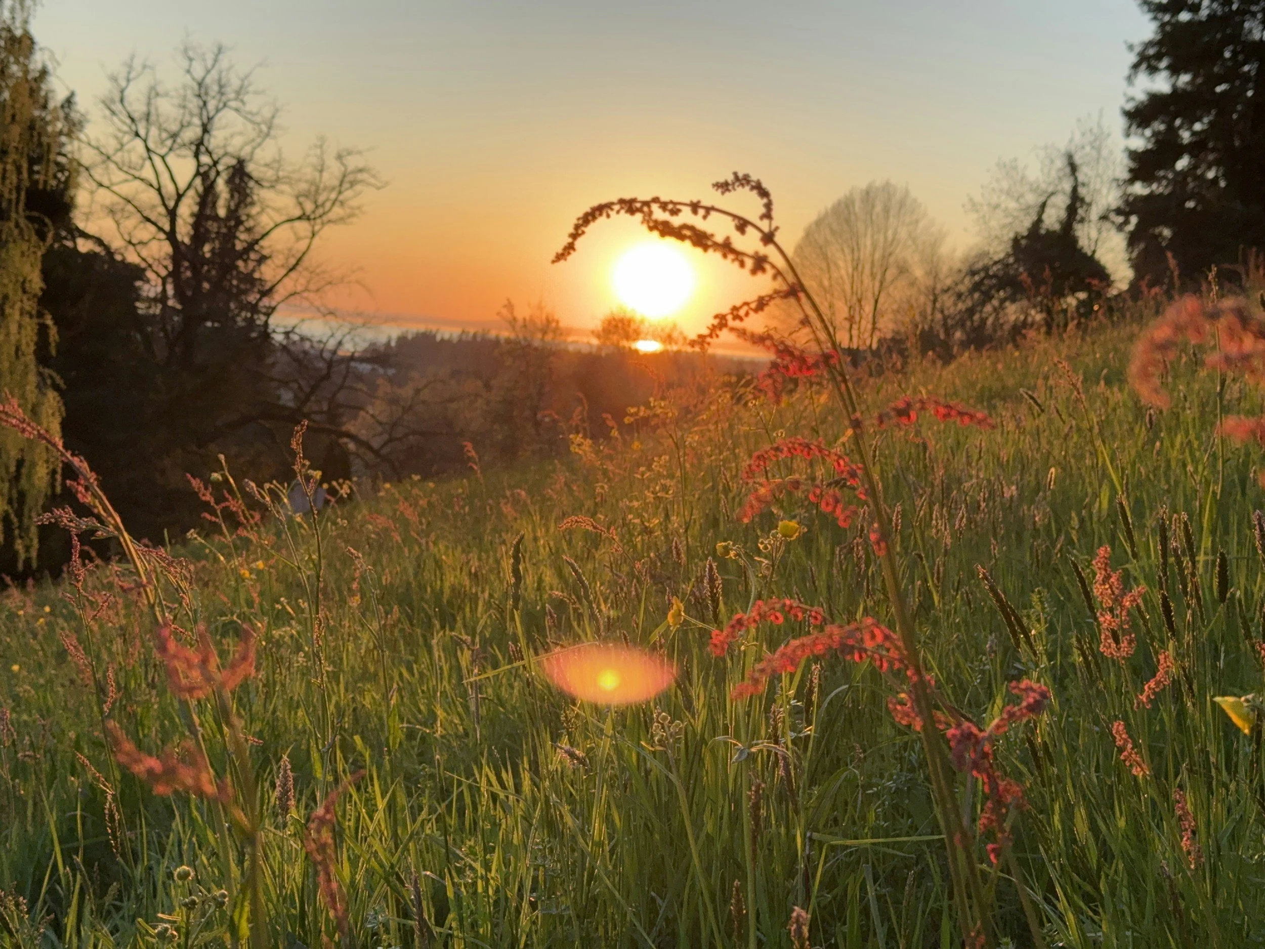 Setting Goals for the New Year: Balancing Growth with Gratitude for Where You Are