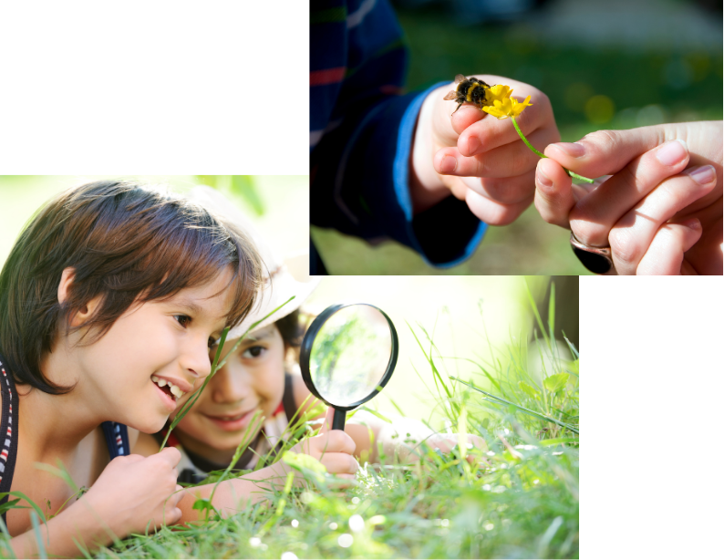 Children exploring nature; one child with a magnifying glass observing grass and flowers, another child holding a flower with a bee, outdoor setting with green grass and bright sunlight.