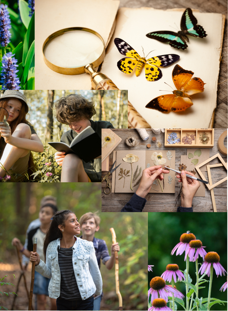 Collage of nature scenes: butterflies on a book and magnifying glass, children exploring outdoors, pressed flowers being arranged, children with walking sticks on a forest trail, and purple coneflowers in a garden.