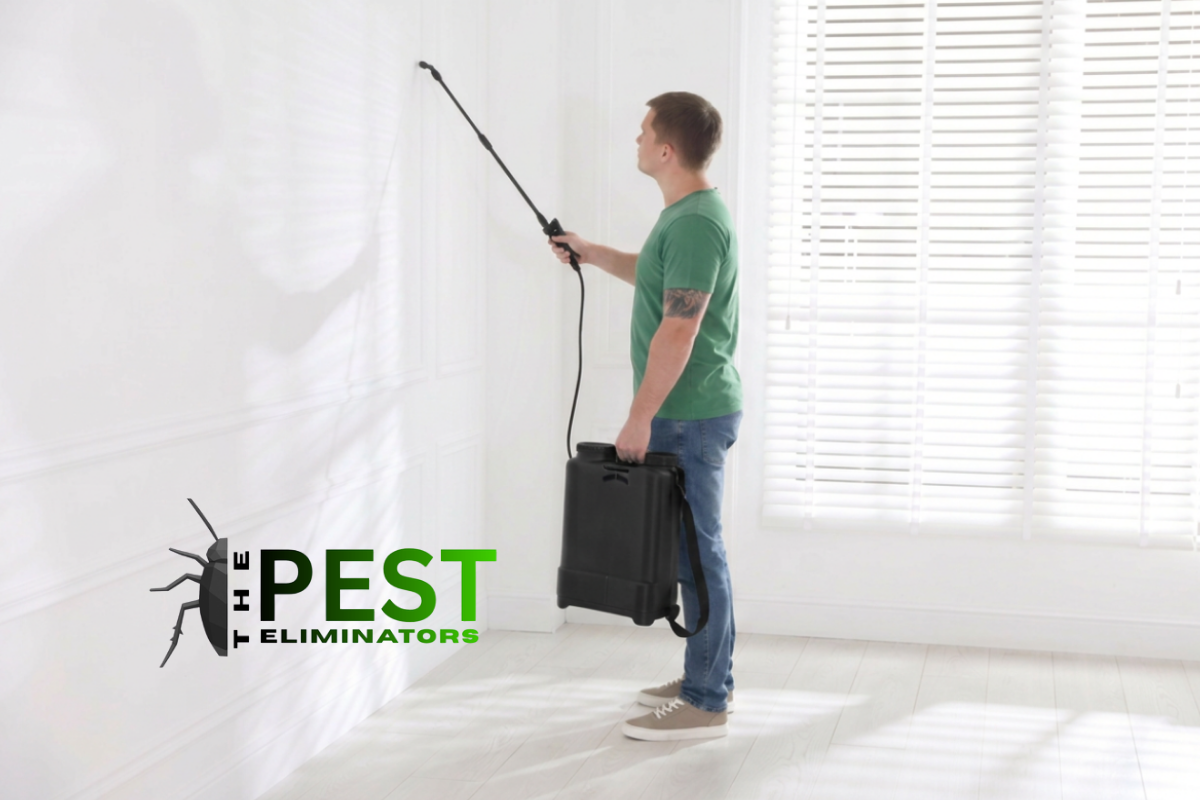 Safe pest control services in Phoenix.