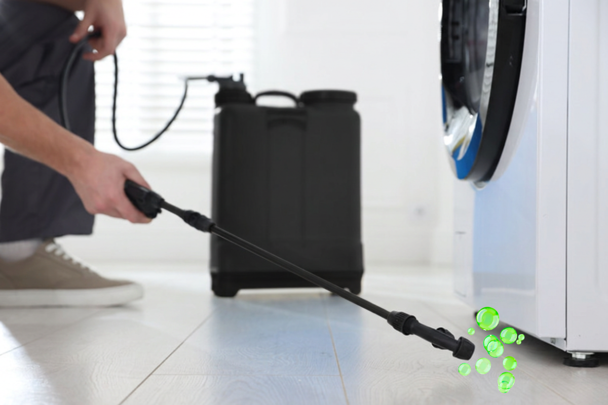 Protect your Phoenix home with The Pest Eliminators AZ.