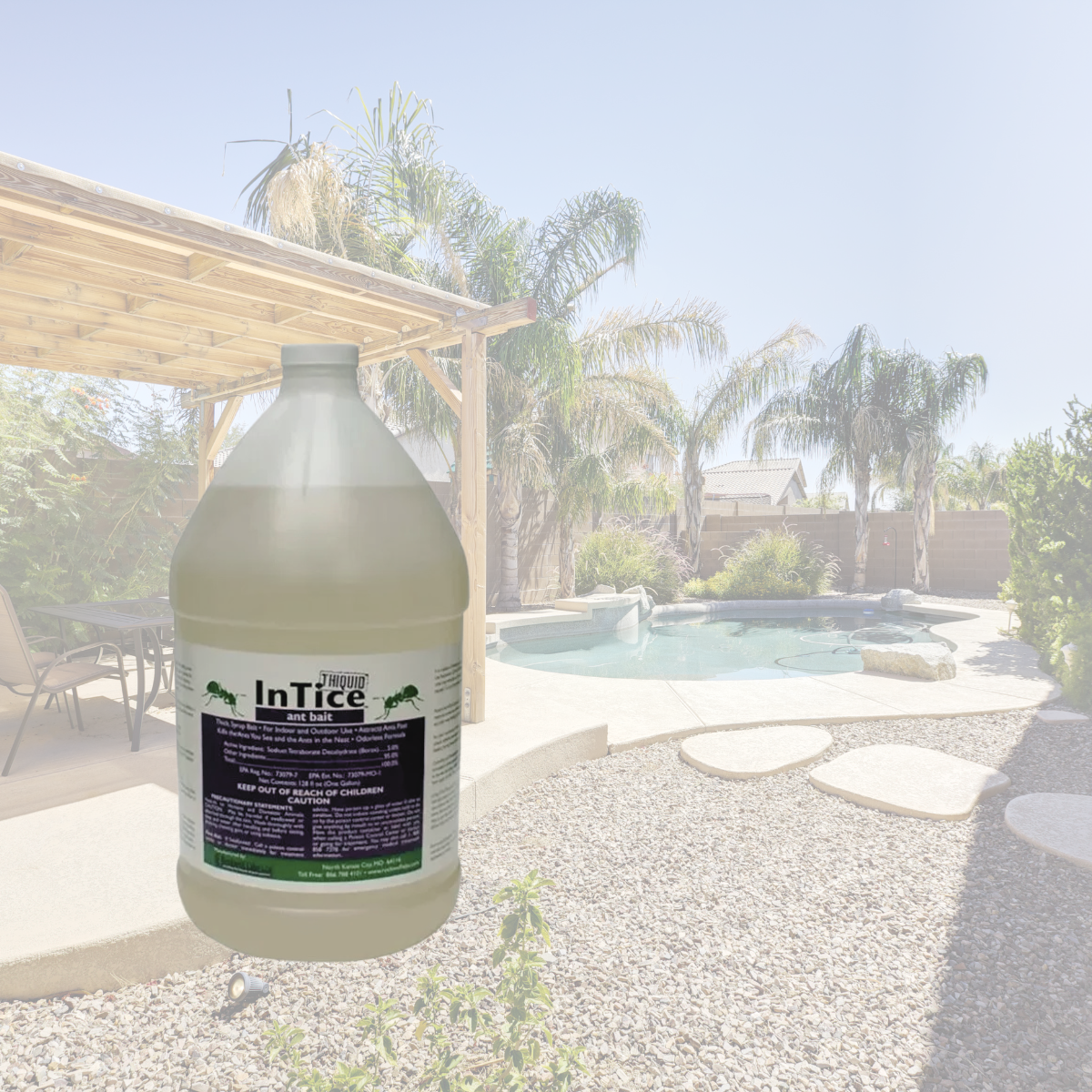 InTice Thiquid Ant Bait used by The Pest Eliminators AZ