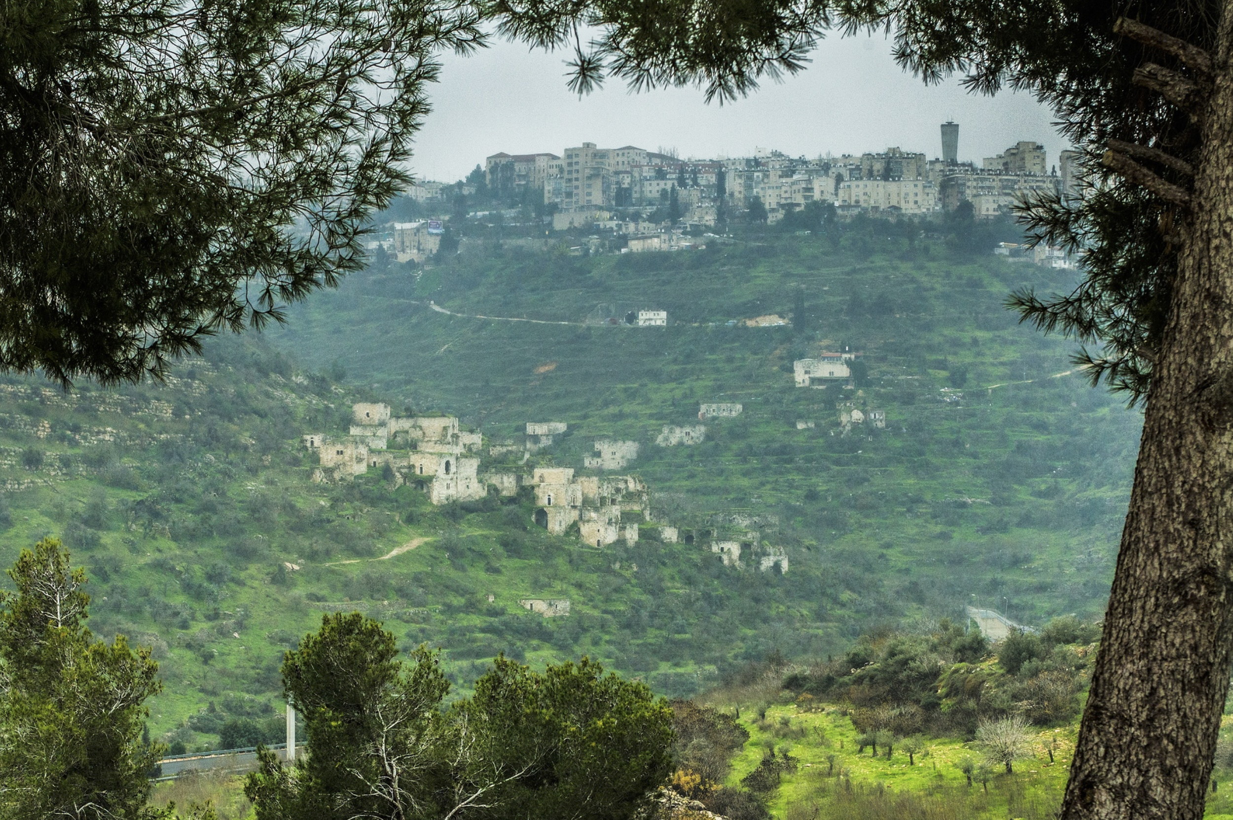 The stone ruins of the depopulated village of Lifta on a green hillside below Jerusalem, framed by pine branches.