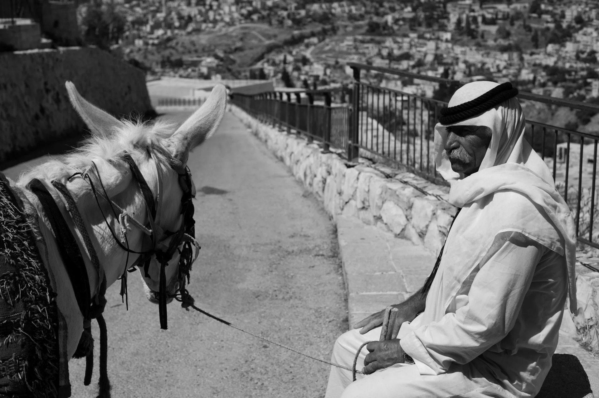Man and His Donkey