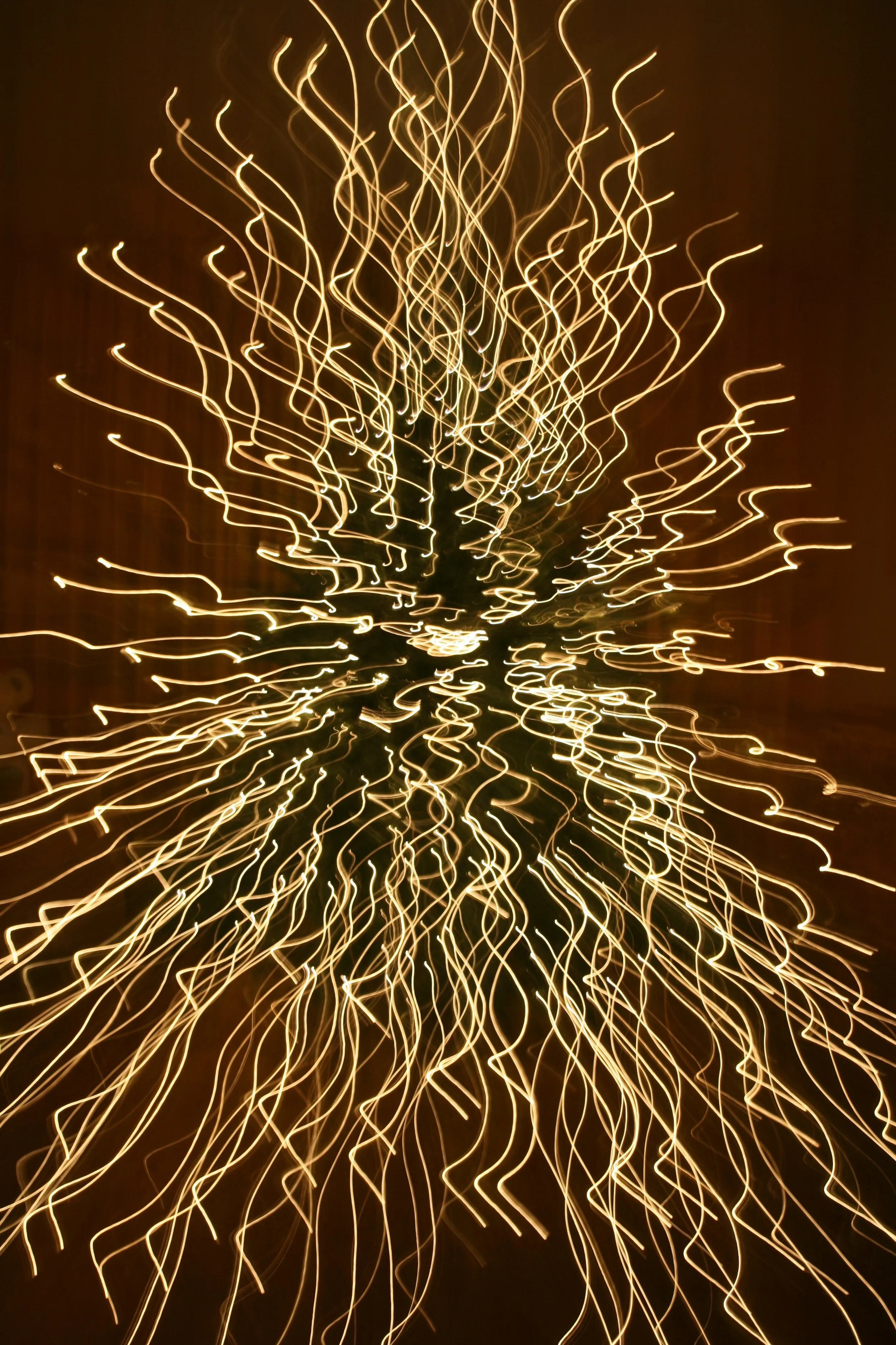 Christmas Tree Light