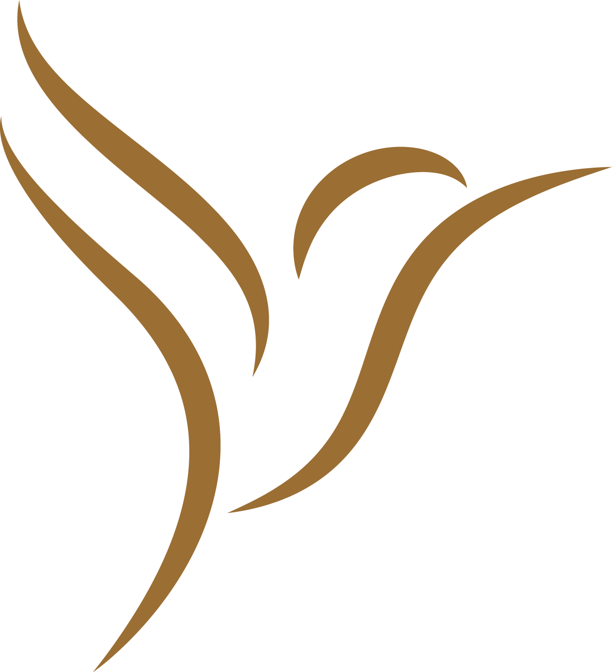 Stylized abstract design of a flower with curved brown lines on a black background.