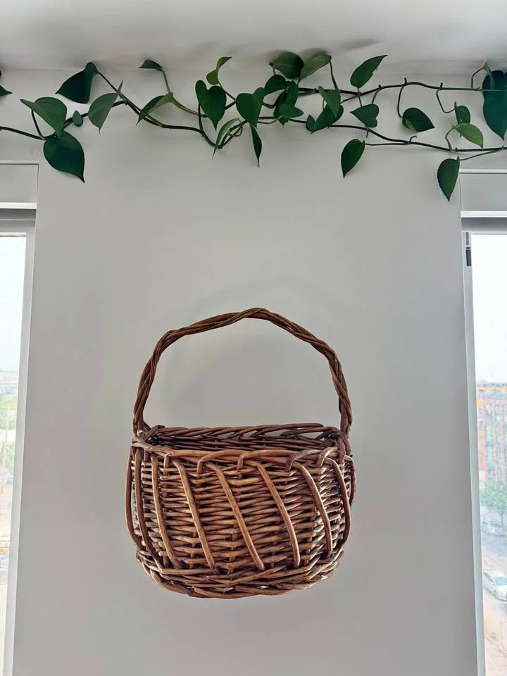 Empty wicker basket hanging on a white wall with green leafy plant above.